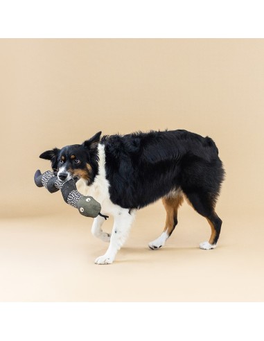SSSSSSUP CANVAS DOG TOY