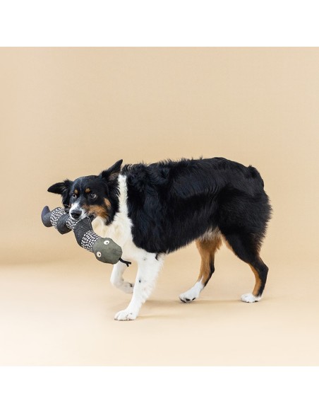SSSSSSUP CANVAS DOG TOY