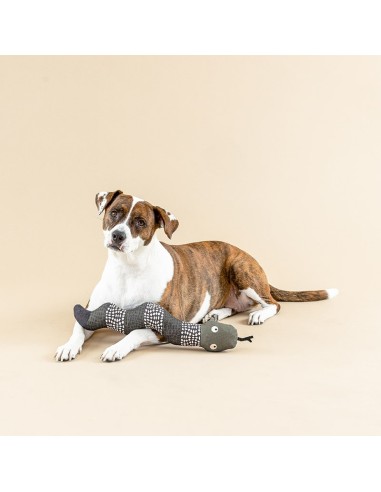 SSSSSSUP CANVAS DOG TOY