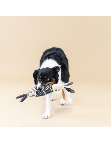 ALL EARS CANVAS DOG TOY