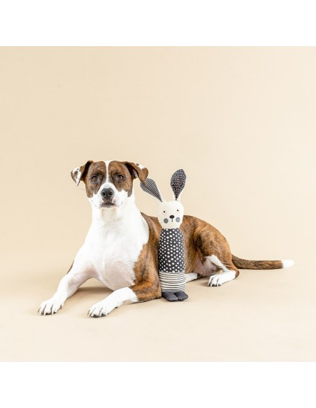 ALL EARS CANVAS DOG TOY