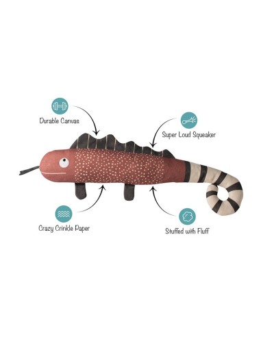 ONE IN A CHAMELEON CANVAS DOG TOY