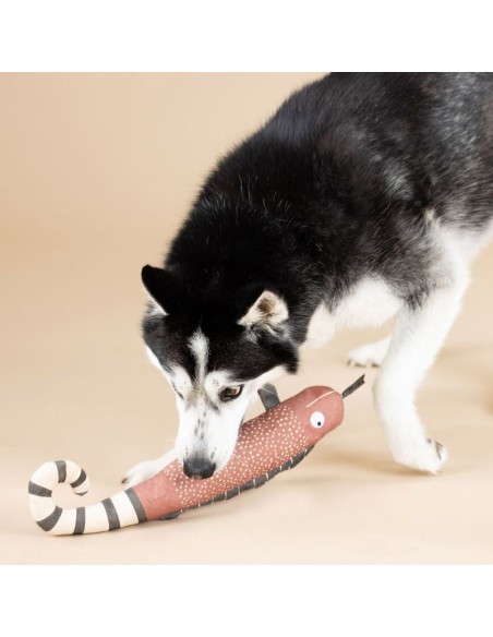 ONE IN A CHAMELEON CANVAS DOG TOY