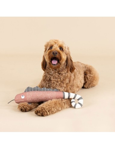 ONE IN A CHAMELEON CANVAS DOG TOY