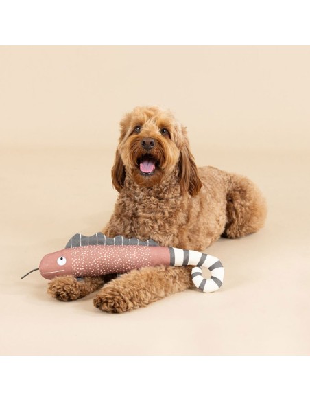 ONE IN A CHAMELEON CANVAS DOG TOY