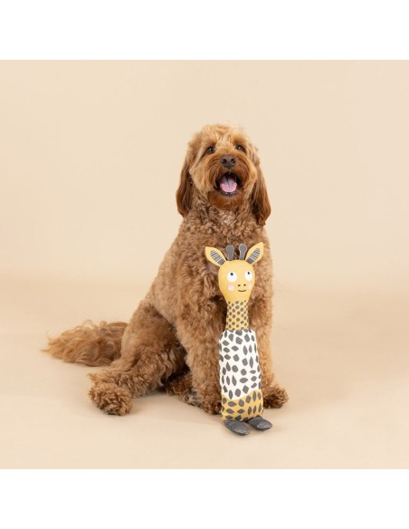 HIGH THERE CANVAS DOG TOY