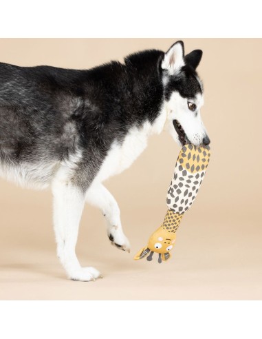 HIGH THERE CANVAS DOG TOY