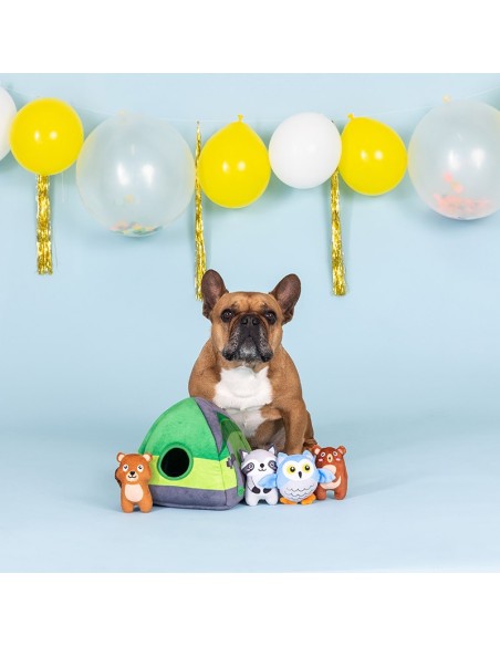 Happy campers | Burrow