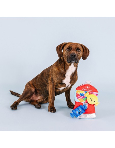 A Sweet Surprise Interactive Toys - pack of 4