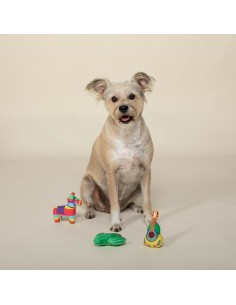 Set Fiesta fun 2