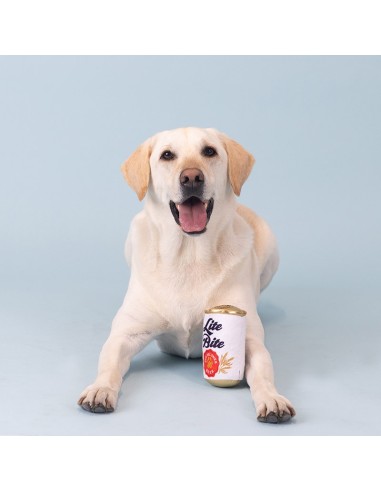 Lite bite pup pilsner
