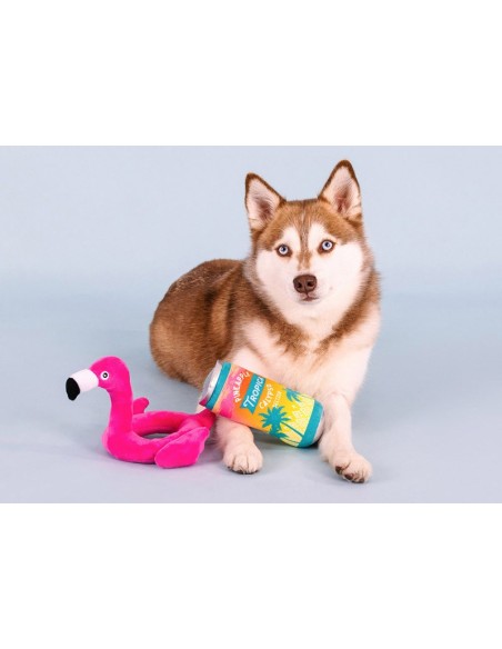 Pool Days, Sun Rays Dog Toys - pack of 4