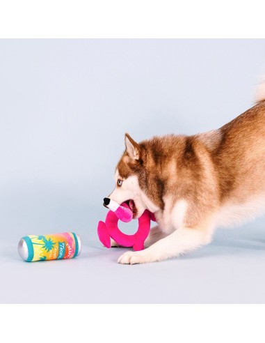Pool Days, Sun Rays Dog Toys - pack of 4
