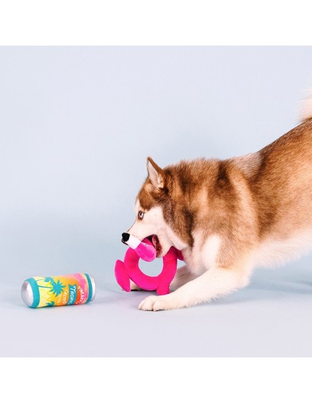 Pool Days, Sun Rays Dog Toys - pack of 4