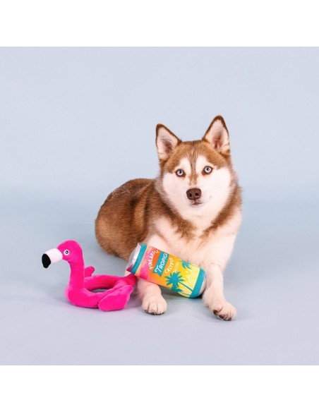 Pool Days, Sun Rays Dog Toys - pack of 4