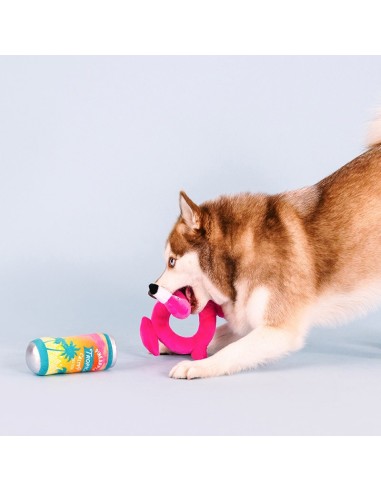 Pool Days, Sun Rays Dog Toys - pack of 4