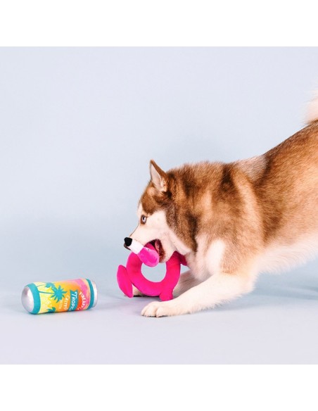 Pool Days, Sun Rays Dog Toys - pack of 4
