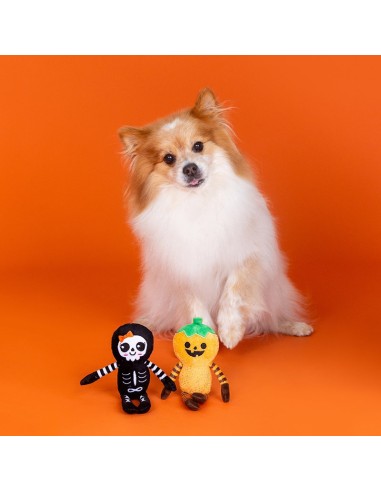 Fringe Oh My Gourd - Set