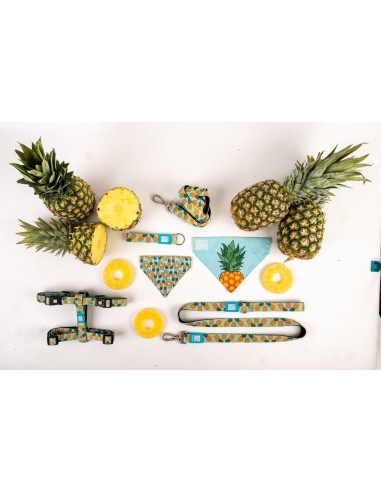 Key Ring - Sweet Pineapple/Tag