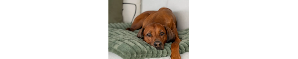 Comfort mat