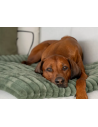 Comfort mat