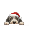 Noël