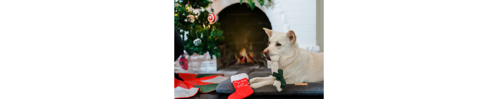 Noël